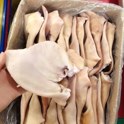 浙江臺州溫嶺市新鮮豬耳朵批發 價格實惠，品質保證