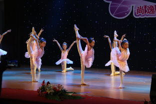 專業攝影攝像服務，定格新會最美瞬間